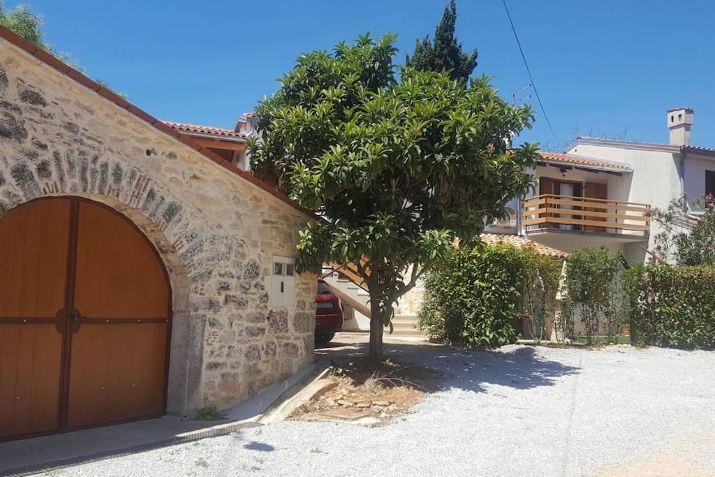Casa Rustica Daire Buici  Dış mekan fotoğraf